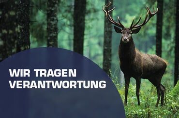 ERNST als attraktiver Arbeitgeber